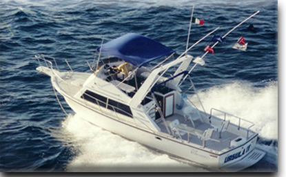 Ursula IV Ursula´s Sport Fishing Cabo San Lucas